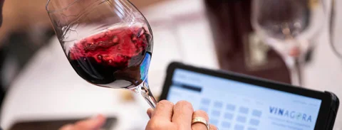 VinAgora Borverseny 2025 X Dunavox