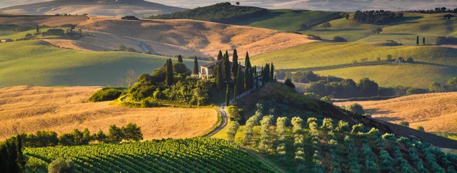A világ 3+1 legnépszerűbb bortermelő régiója - a legnépszerűbb boraikkal